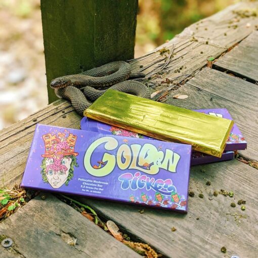 Golden ticket mushroom bar - Image 3