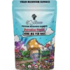 Buy Paradise Punch Gummies (4g)