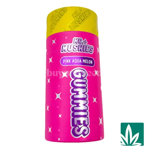 Mr Mushies Gummies (4g)