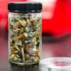 African Transkei Magic Mushrooms