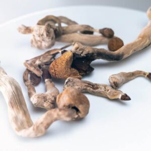 Buy Amazonian Magic Mushrooms