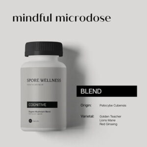 PURE Spore Wellness Capsules 500mg