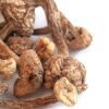Brazilian Magic Mushrooms