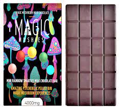 mushroom chocolate